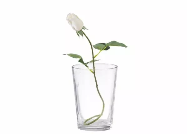 زهور صناعية مارش