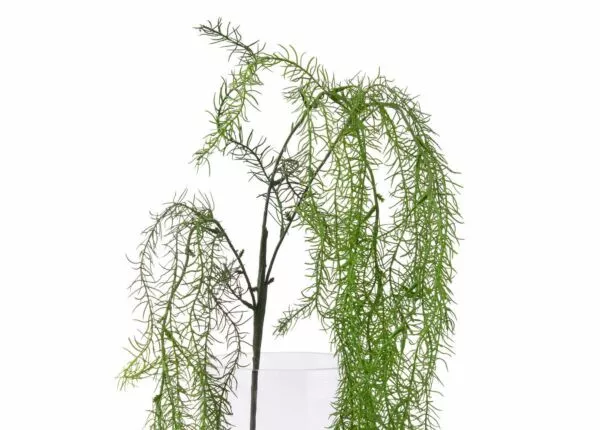عشب صناعى ستينو
