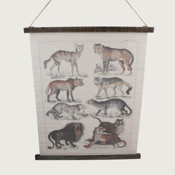 لوحة صور رالف قماشية تعليق-متعدد الالوان