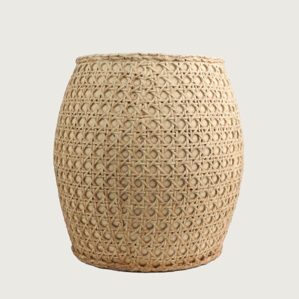 مركن زرع لاكوستي - بيج