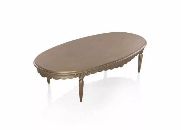 طاولة وسط بروفر