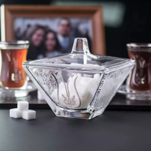 تمرية مع غطاء موذر لون بلاتيني