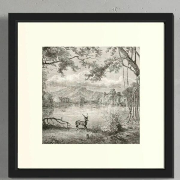 Configurable Arshad Test - منتج كونفغرابل تيست