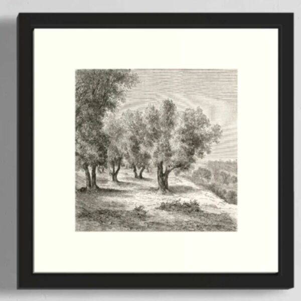 طقم لوحات جدارية كنفاس 6 قطع 40×40 سم - اسود