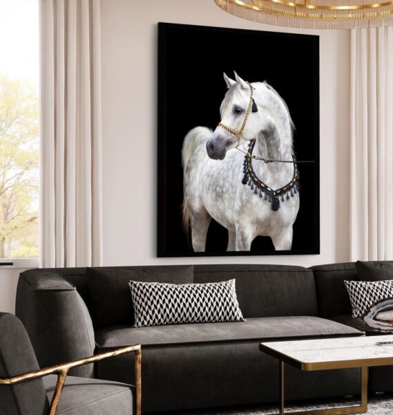 Modern Horse Wall Art