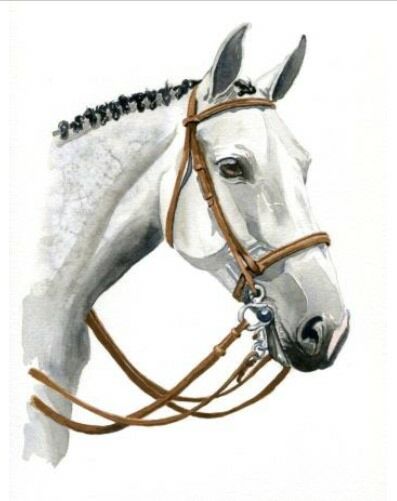 لوحة فنية طباعة كانفس عمل يدوي بيلا 70×120 