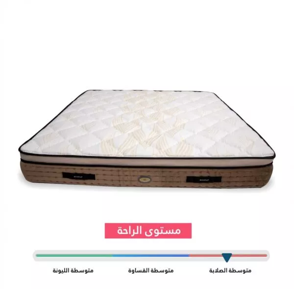 مرتبة اسبينال رستن