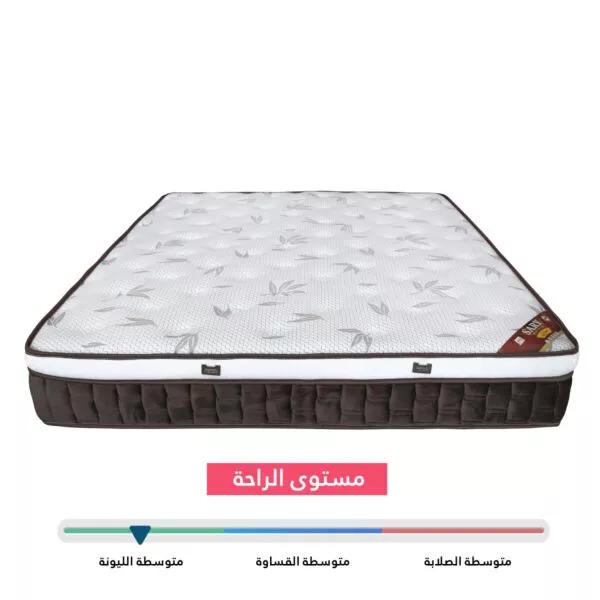 مرتبة ساري بلس
