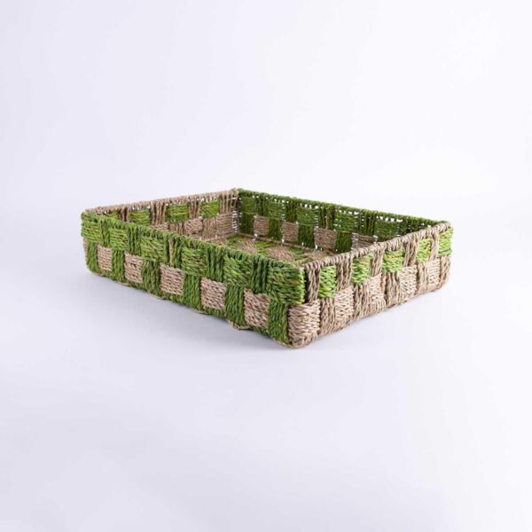 صينية حجم كبير من اورورا - بيج واخضر