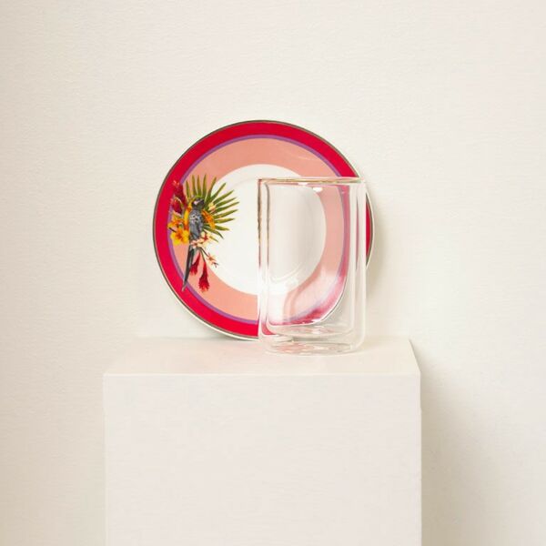 طقم بيالات شاي وصحون ديلايت 12 قطعة - متعدد الألوان