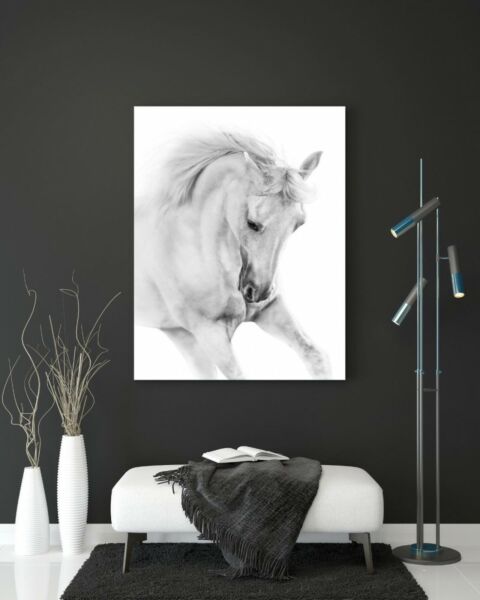 لوحة تينورا