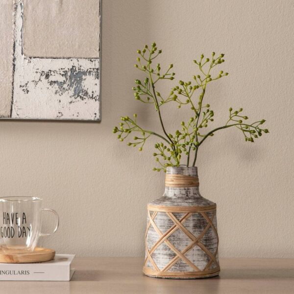 فازة أوليمبوس