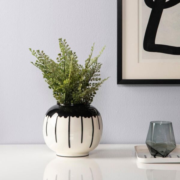 فازة فيرلاند