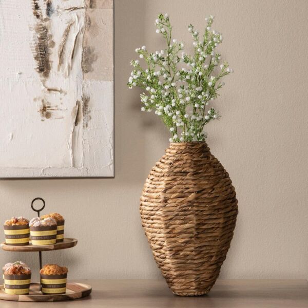 فازة جانيمور