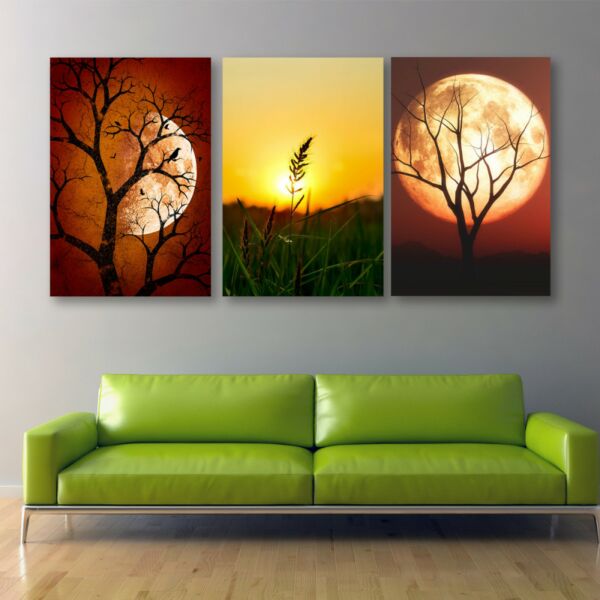 طقم لوحات جدارية فنية سانسيت بتصميم عصري 3 قطع - متعدد الالوان