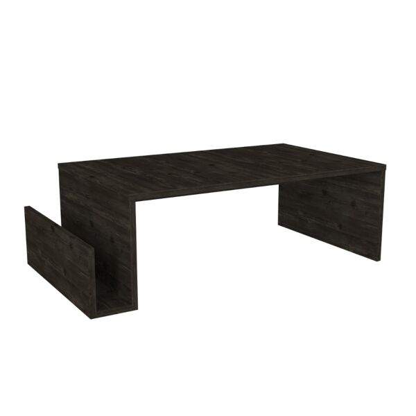 طاولة قهوة ريجنار خشبية أسود - 32x107x55 سم