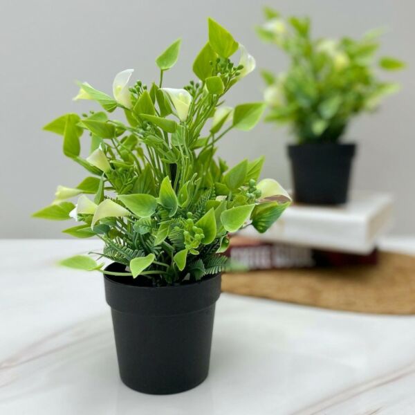 مركن ورد اريس - اخضر واسود