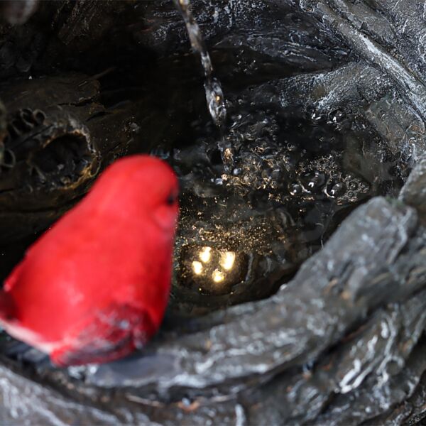 ديكور  شلال نافورة  عصافير مع العش بإضاءة ليد 