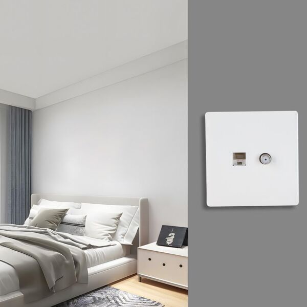 فيش دش - منفذ شبكة برلنت - ابيض لايت