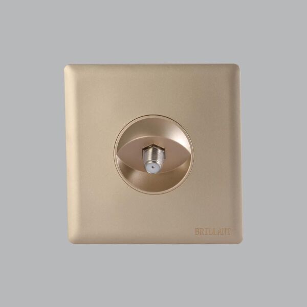 فيش دش ذهبي برلنت لايت