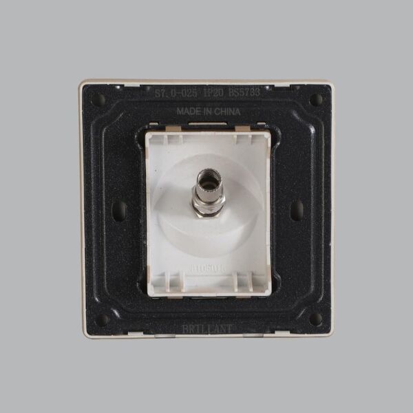 فيش دش ذهبي برلنت لايت