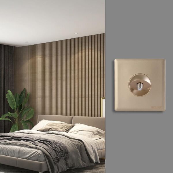 فيش دش ذهبي برلنت لايت