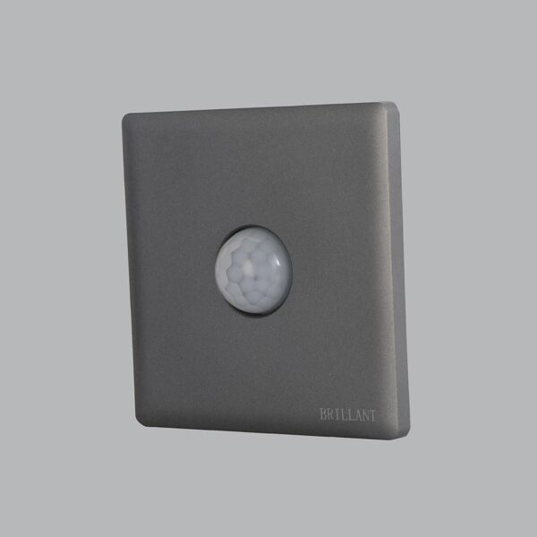 مفتاح حساس حركة برلنت لايت - رمادي