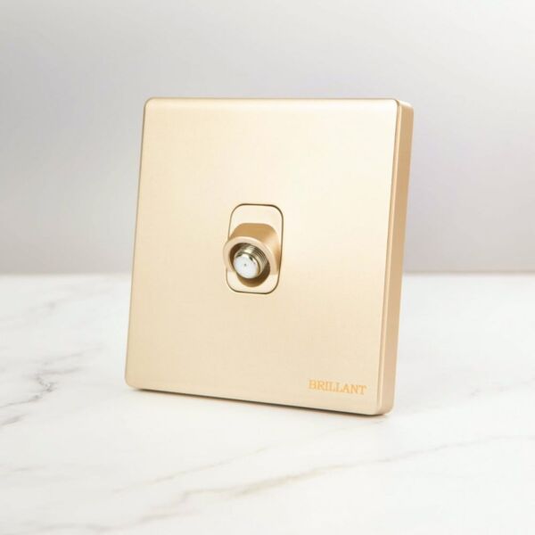 فيش دش مودرن من برلنت - ذهبي