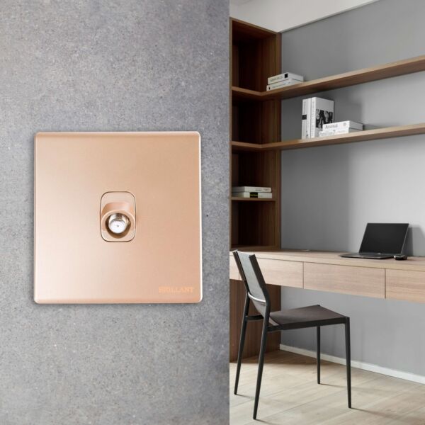 فيش دش مودرن من برلنت - ذهبي