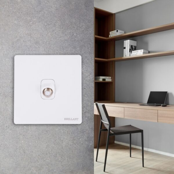 فيش دش مودرن من برلنت - ابيض