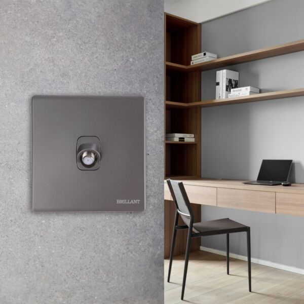 فيش دش مودرن من برلنت - رمادي