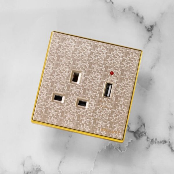 فيش مفرد مع مخرج USB من برلنت - ذهبي