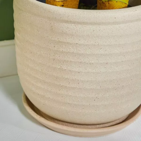 مركن زرع سيراميك مع قاعدة كورال جابلز - بيج