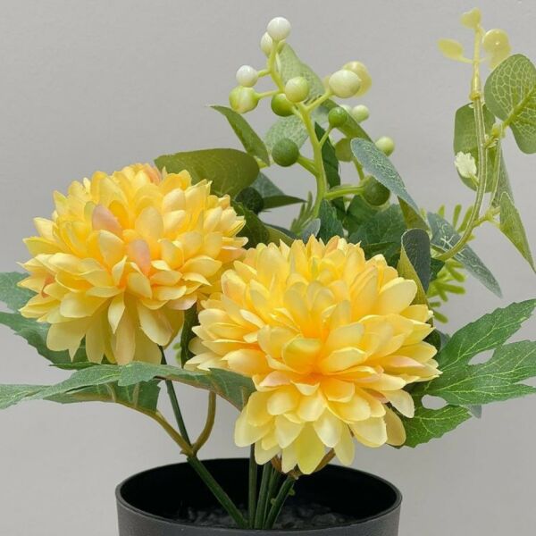 مركن ورد ديزي اصفر