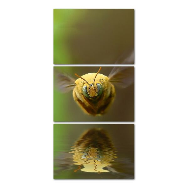 لوحة فنية بتصميم الطبيعة ثلاث قطع- نحلة