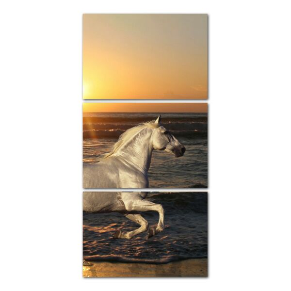 لوحة فنية بيكاش ثلاث قطع بتصميم الطبيعة - حصان