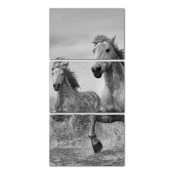 لوحة فنية عامفرا ثلاث قطع بتصميم الطبيعة - حصان