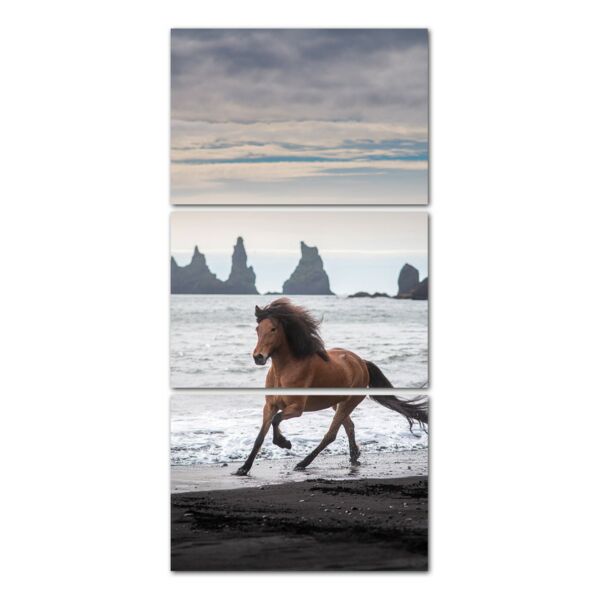 لوحة فنية ماشانا ثلاث قطع بتصميم الطبيعة - حصان