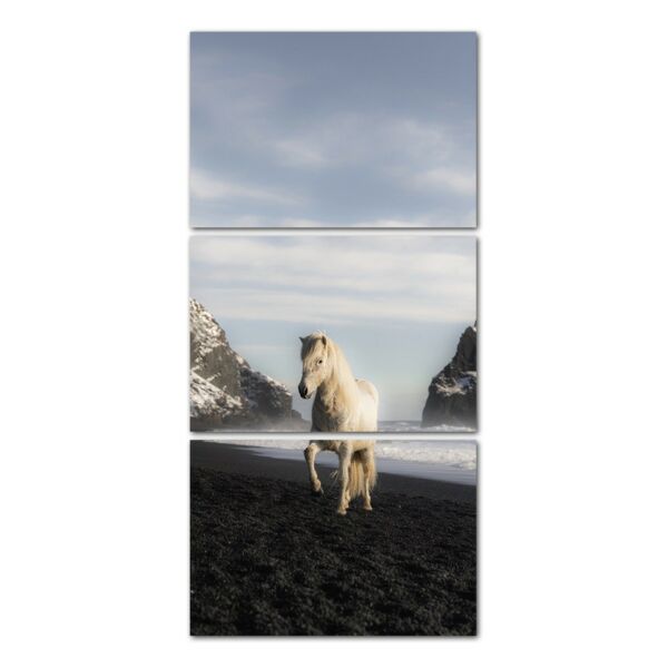 لوحة فنية فانستا ثلاث قطع بتصميم الطبيعة - حصان