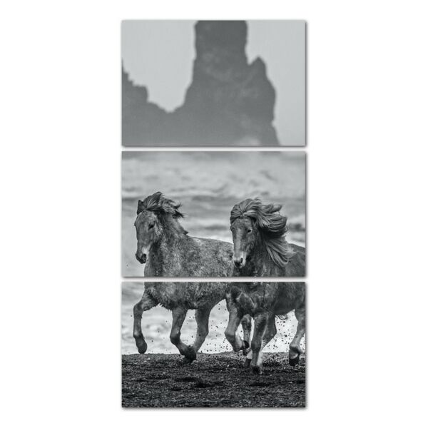 لوحة فنية فيرين ثلاث قطع بتصميم الطبيعة - حصان