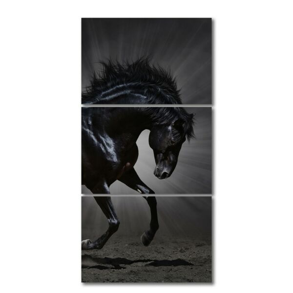 لوحة فنية كاتوليا ثلاث قطع بتصميم الطبيعة - حصان