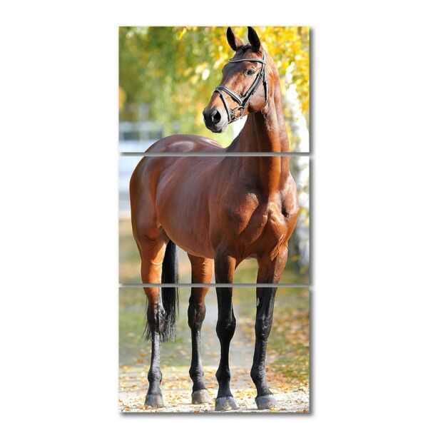 لوحة فنية راسا ثلاث قطع بتصميم الطبيعة - حصان
