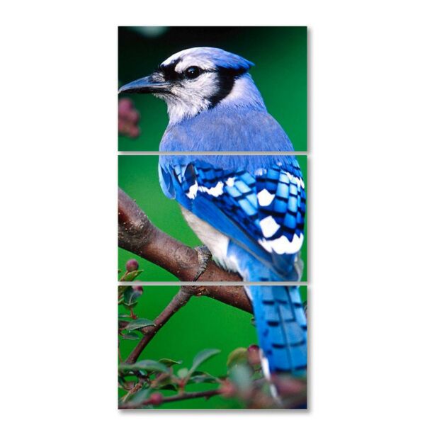 لوحة فنية ثلاث قطع - عصفور