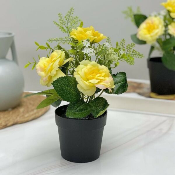 مركن ورد روز اصفر