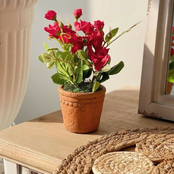 مركن زرع مع نبات صناعي سوزانا