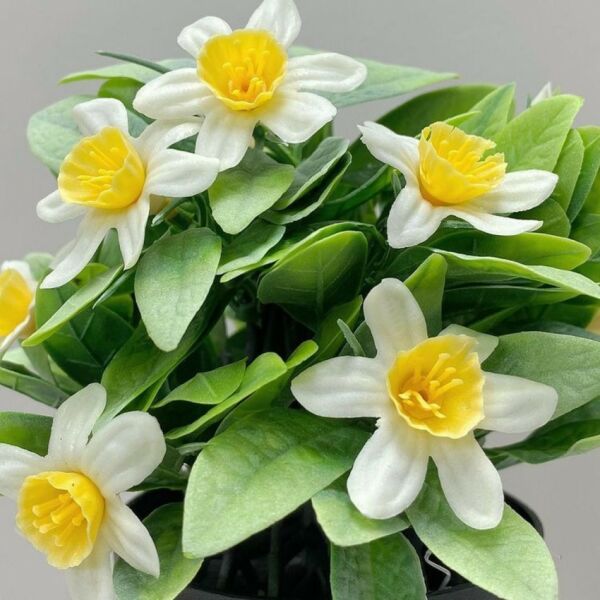 مركن ورد سيرا - اخضر ومتعدد الألوان