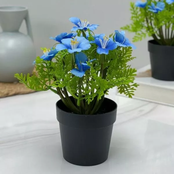 مركن ورد فيلدا ازرق