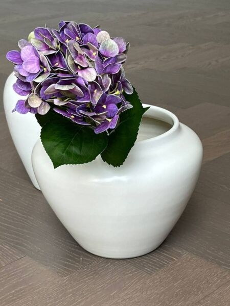 فازة ميدان - ابيض