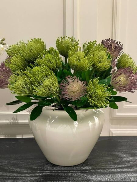 فازة ميدان - ابيض