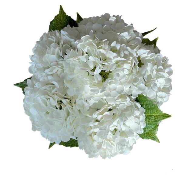 زهر صناعي هايدرينجا في فازة دائرية